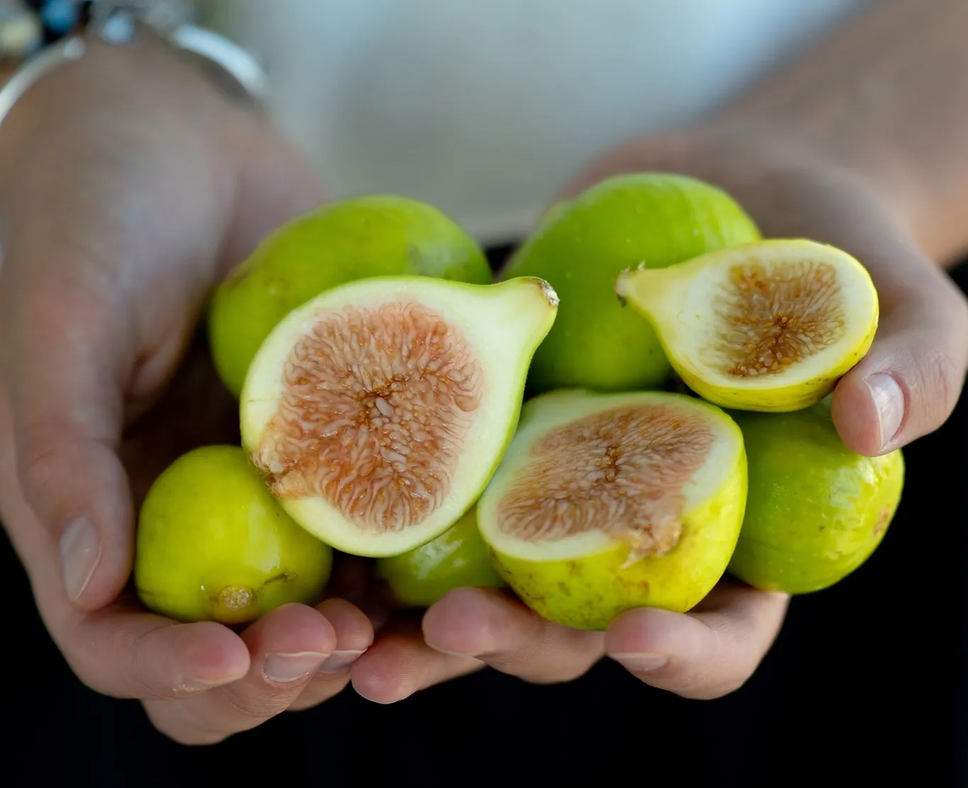 Blanco figos (Ficus carica)