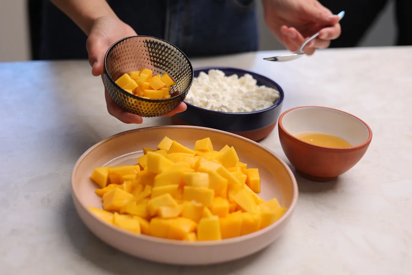 Ingredientai - mango ledai