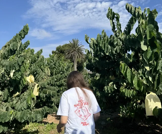 Kelionė po Ispanijos ūkius