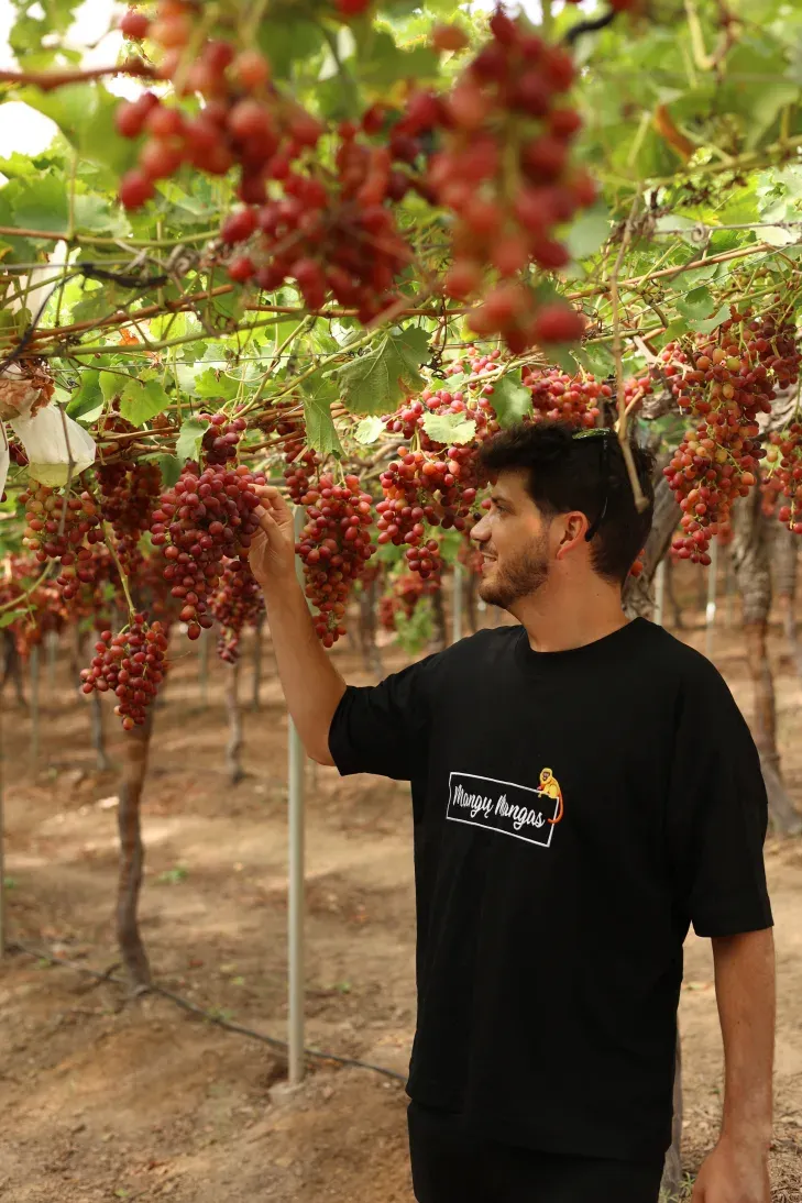 Augintojas Juan aprodo "Moyca" vynuogyną