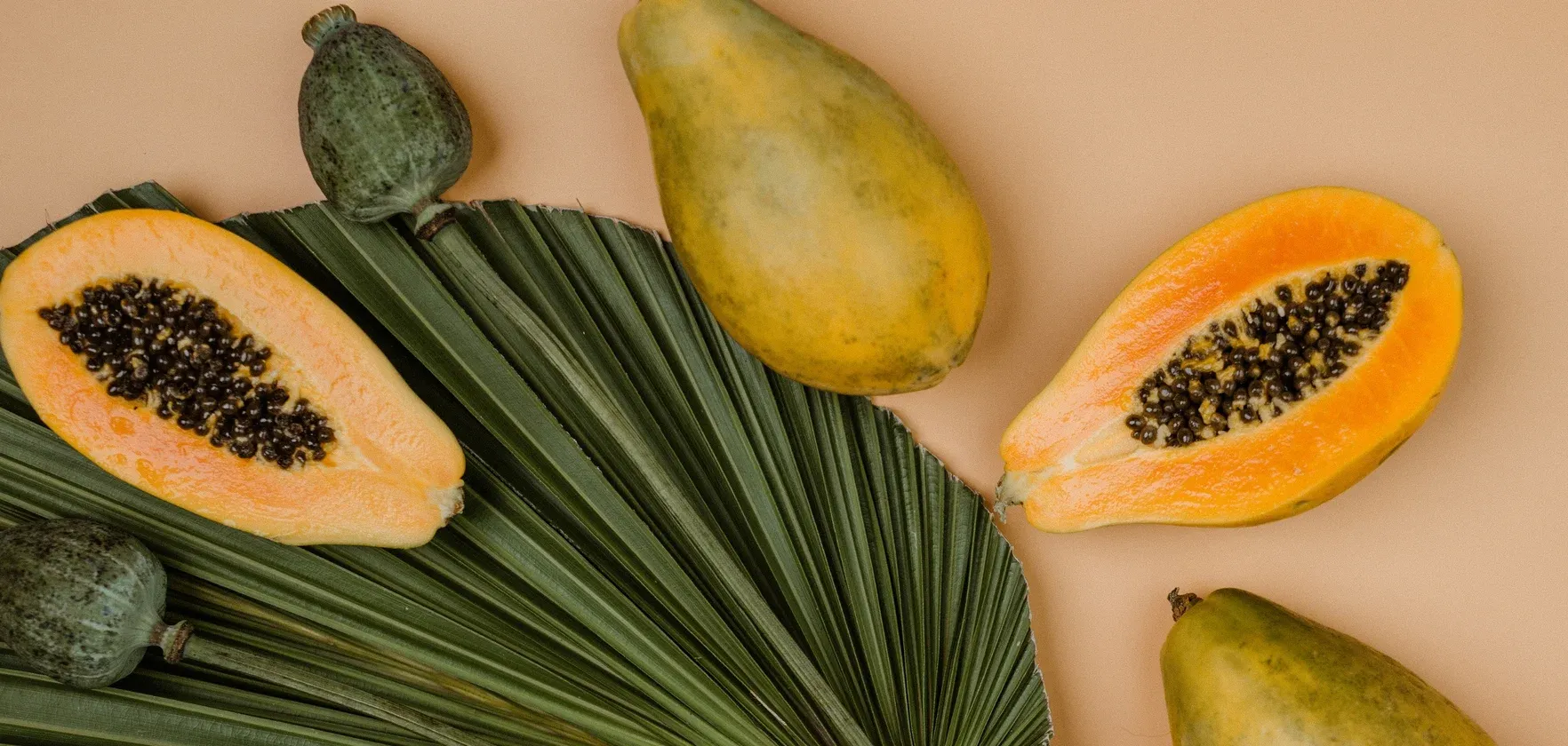 Samba papaja