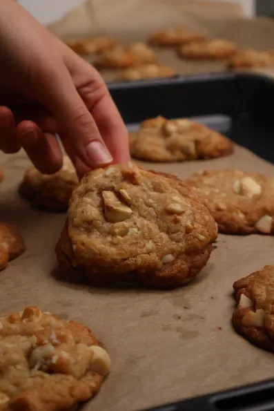 Sausainiai su džiovintais mangais