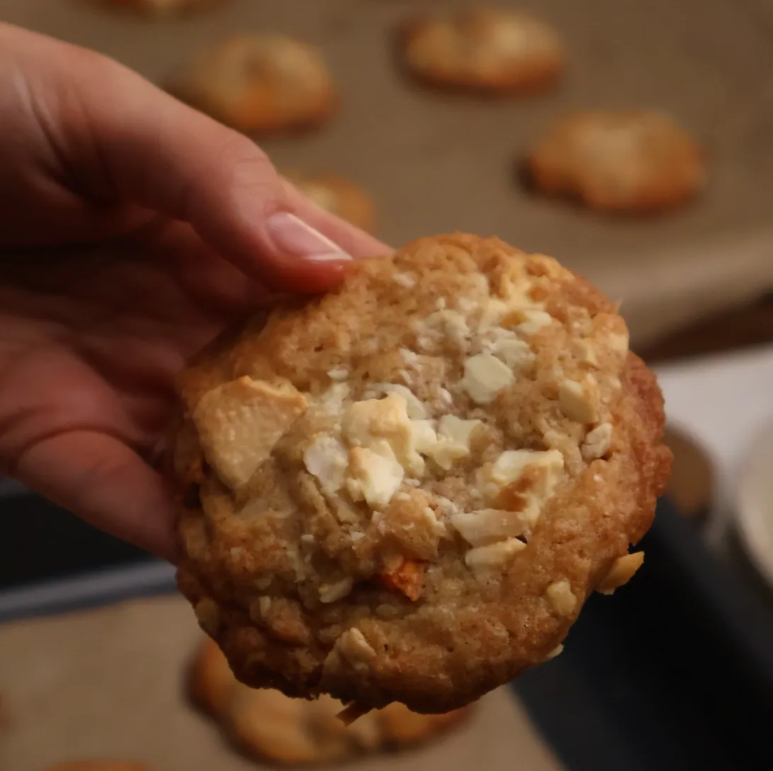 Sausainiai su makadamijų riešutais ir džiovintais mangais
