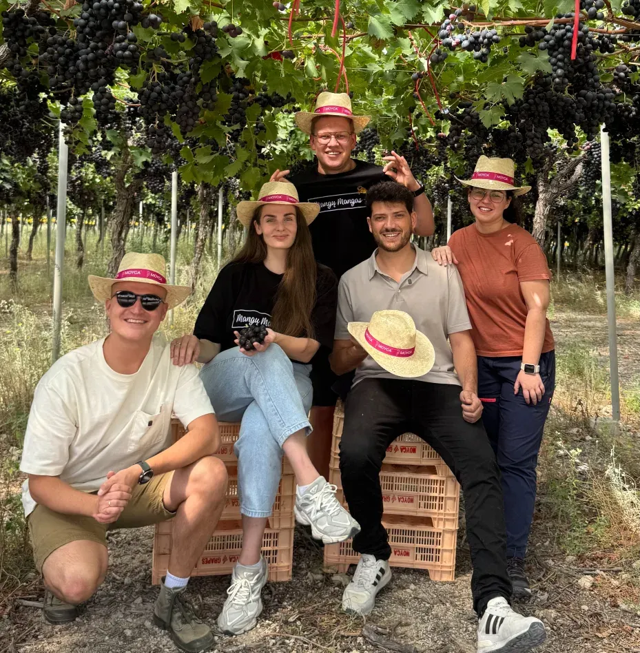 Penkių asmenų grupė su MOYCA skrybėlėmis pozuoja nuotraukai tarp prinokusių juodųjų vynuogių kekėmis apsikrovusių vynmedžių.