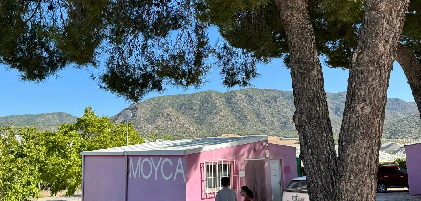 Platus MOYCA vynuogyno vaizdas Ispanijoje, su vynuogių eilėmis nusidriekiančiomis iki kalnų horizonto.